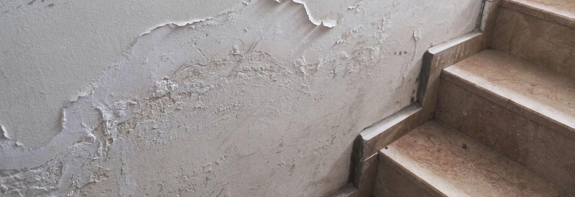 Entreprise traitement humidité