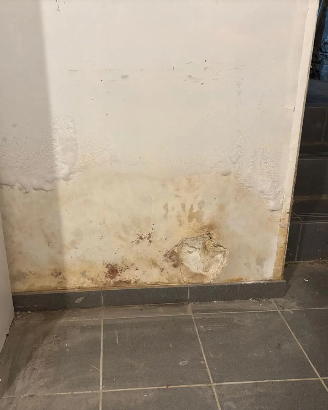 assèchement des murs