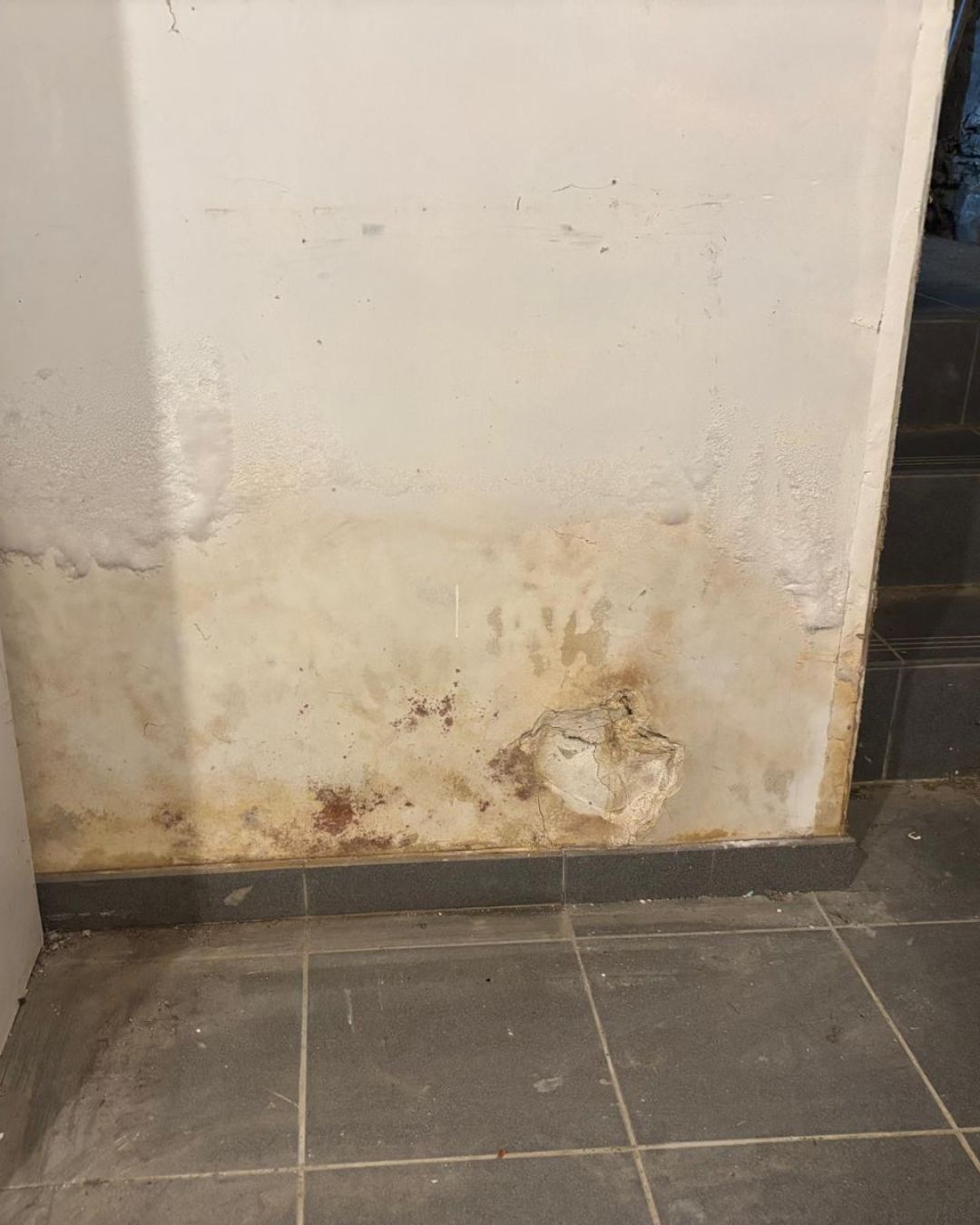 assèchement des murs