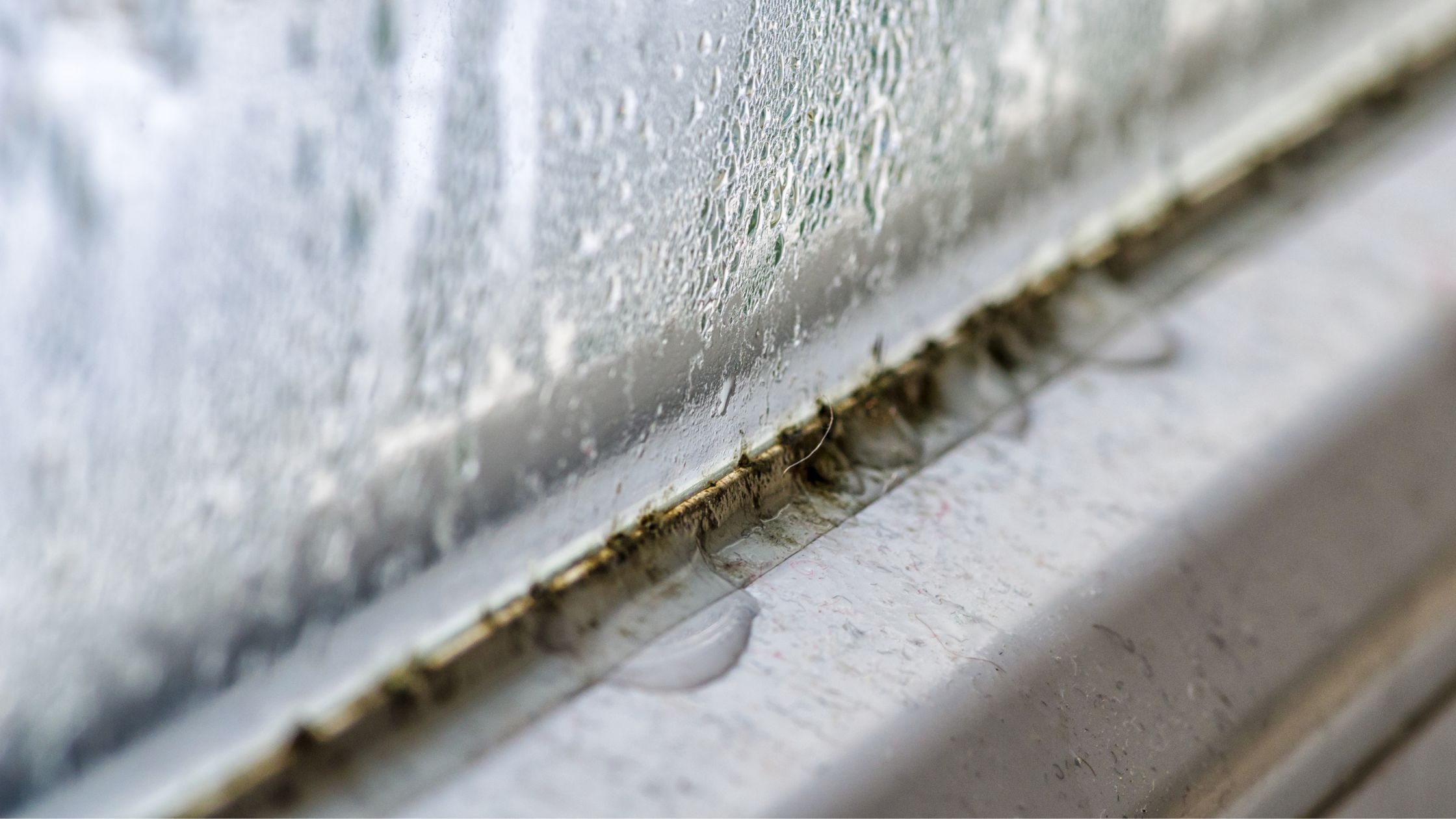 condensation et moisissure sur une fenêtre