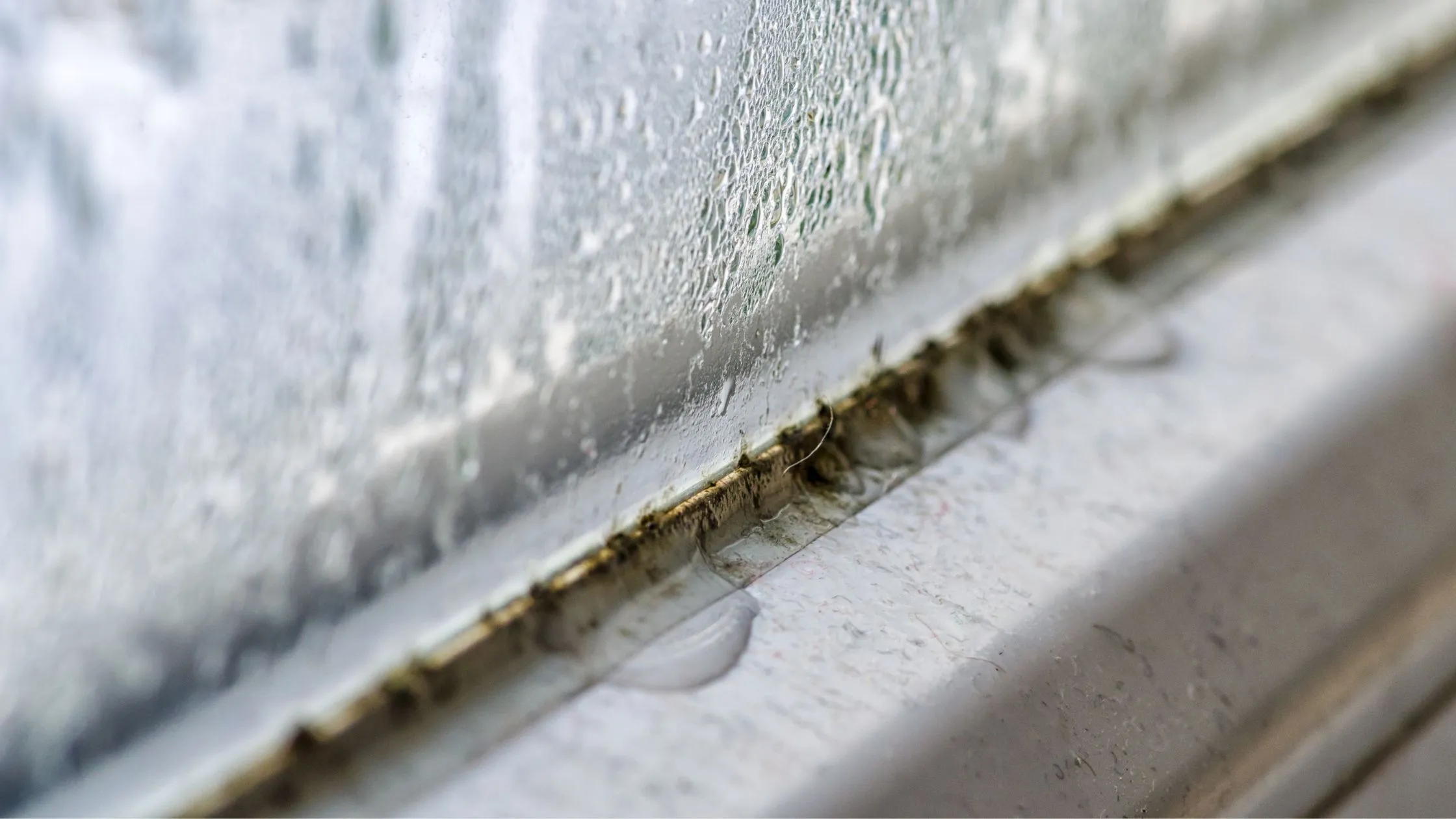 condensation et moisissure sur une fenêtre