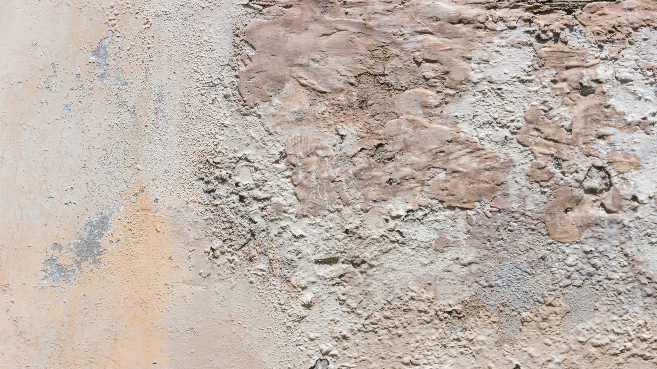 salpetre trace blanchatre sur mur