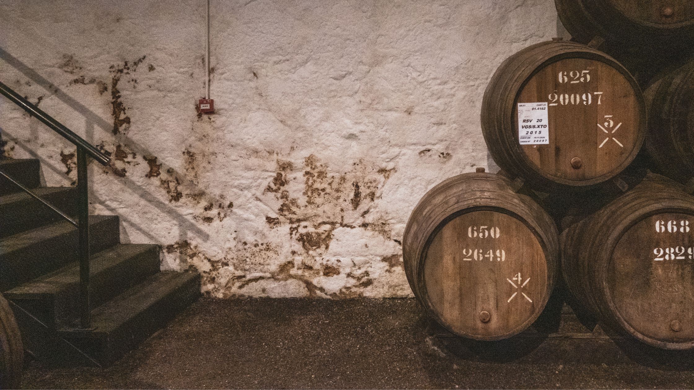 Humidité Cave - Moisissure - Tonneaux