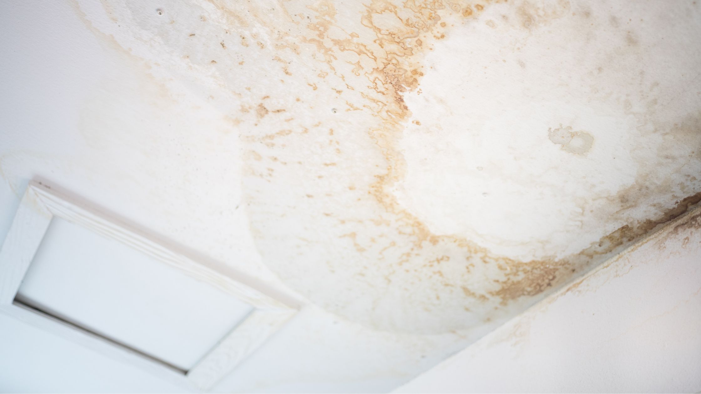 infiltration d'eau - Remontées capillaires