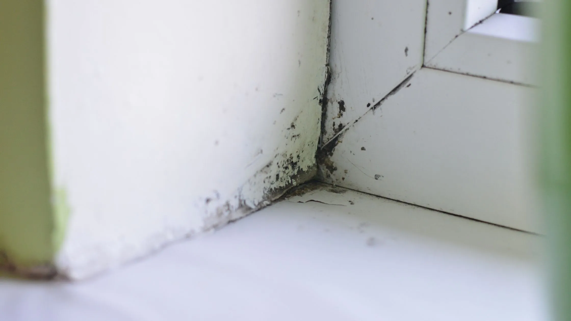 solution humidité - Moisissure bord fenêtre